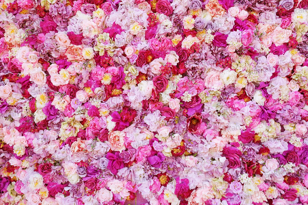 Flower Colorful