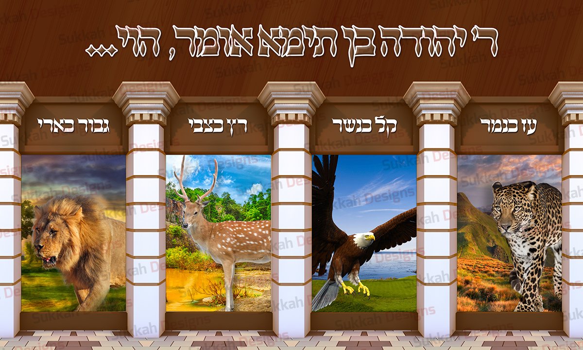 יהודה בן תימא אומר