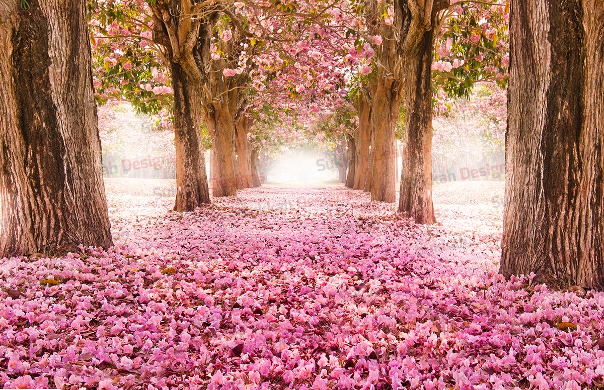 Flower Garden