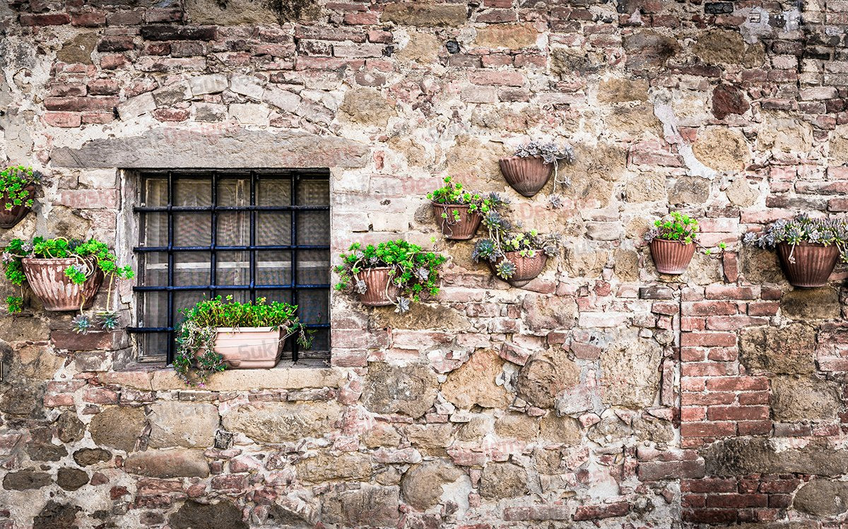 Vintage Wall