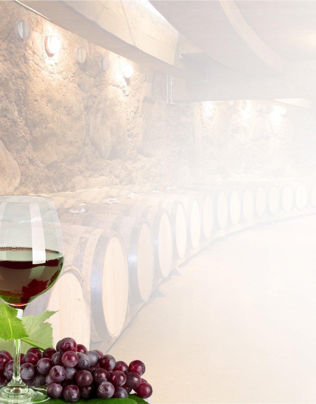 Wine barrels