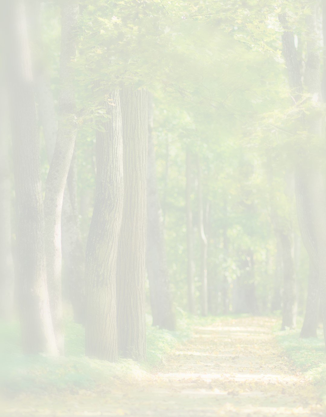 Scenic Pathway