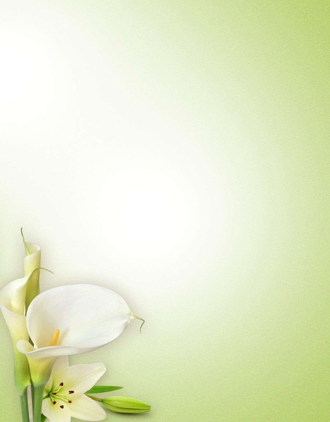 Soft green Lily