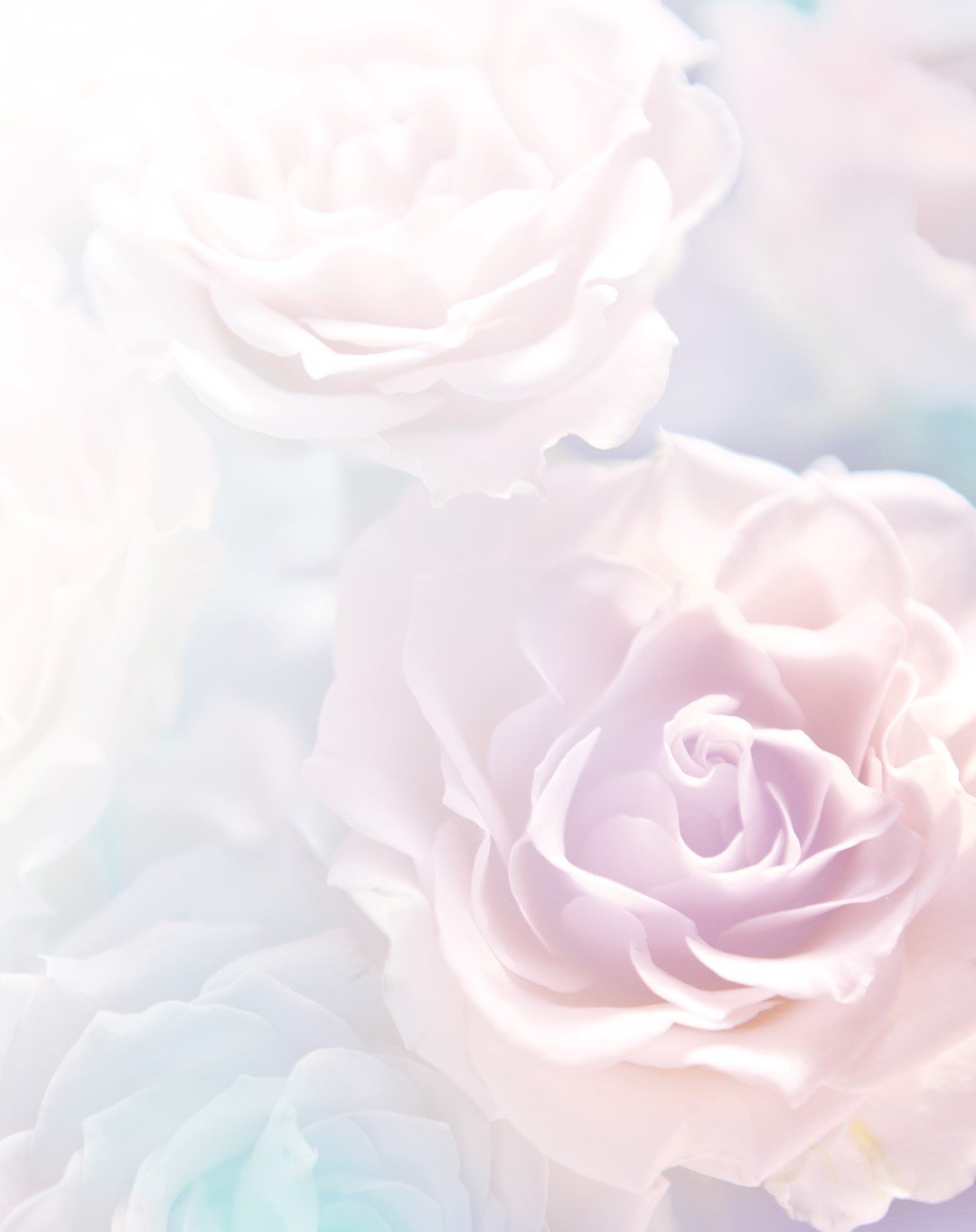 Full Bloom