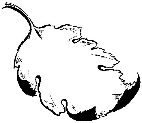 Stamp 14