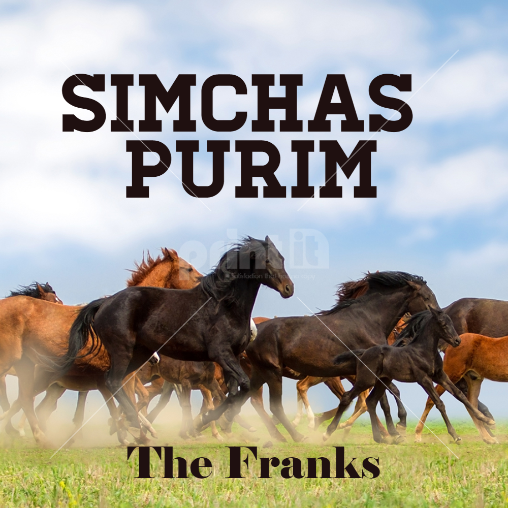 horses Label