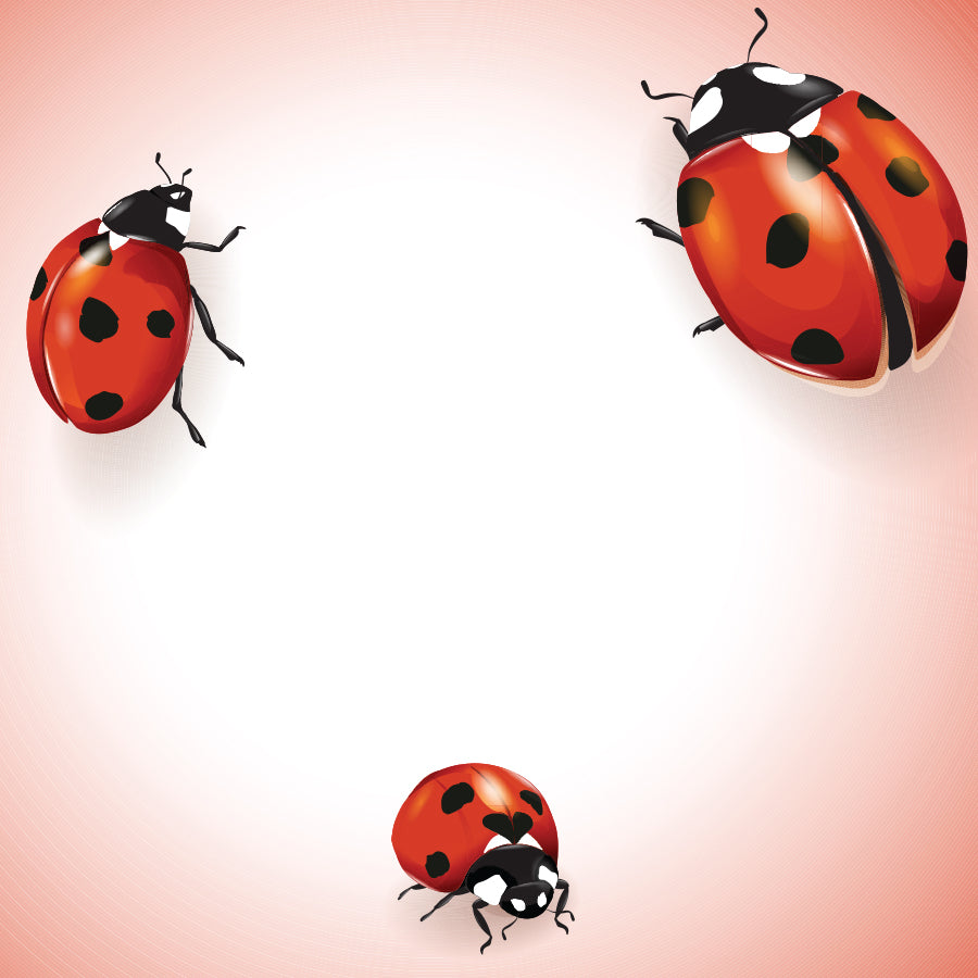 Ladybug Label